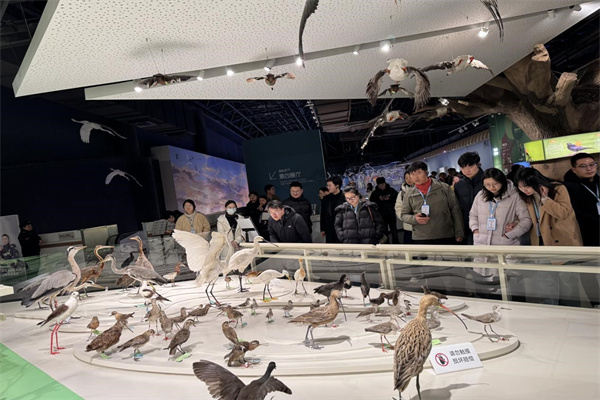 黃海濕地博物館實踐交流11.jpg